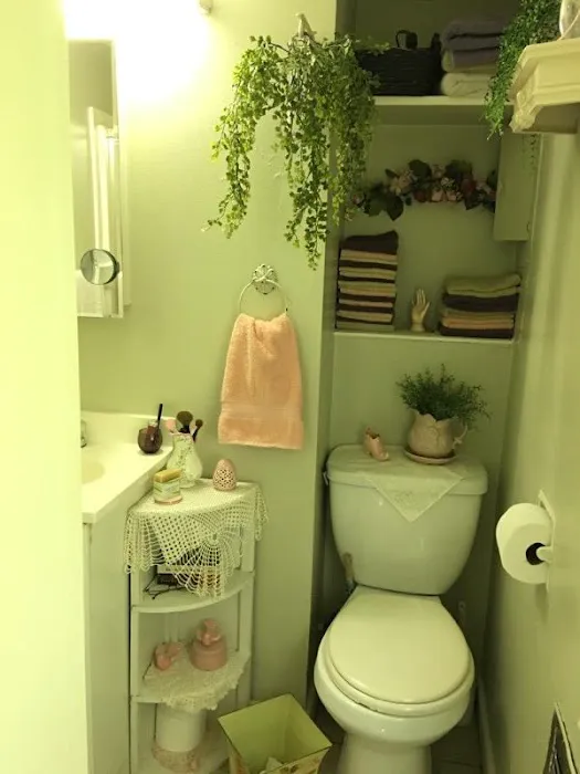 Foster Lake Mobile Home & RV Community Picture 2