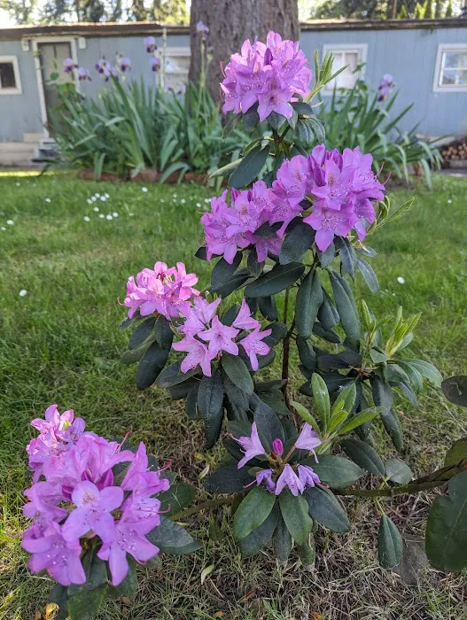 Foster Lake Mobile Home & RV Community Picture 8