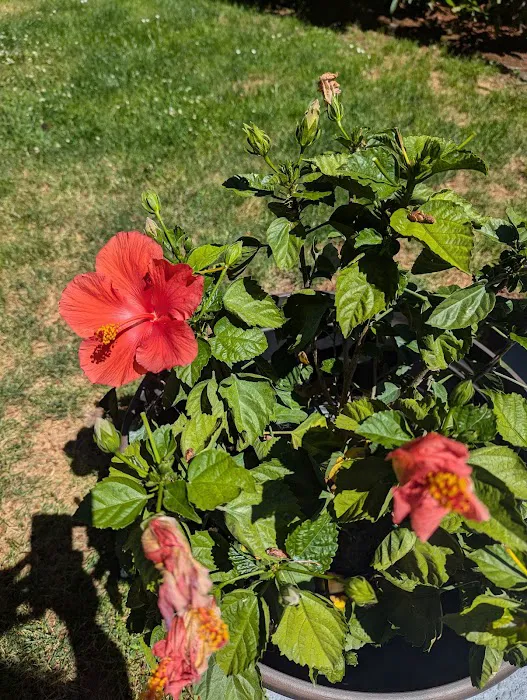 Foster Lake Mobile Home & RV Community Picture 4