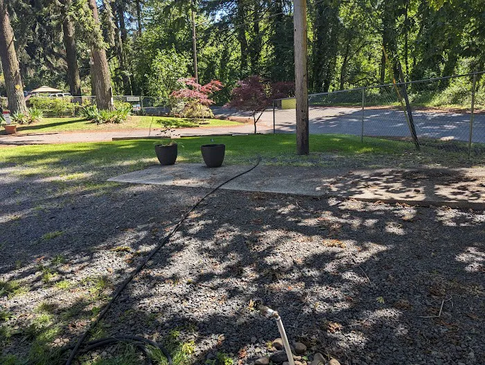 Foster Lake Mobile Home & RV Community Picture 6