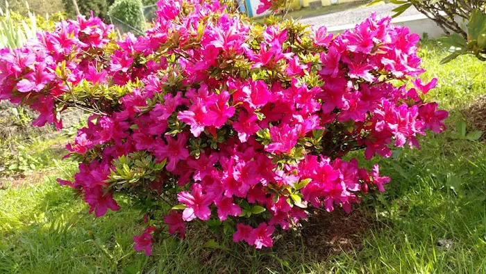 Foster Lake Mobile Home & RV Community Picture 9