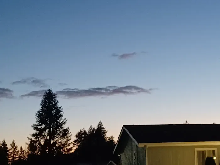 Forestview Senior 55 Community Picture 1