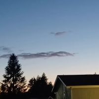 Forestview Senior 55 Community ico