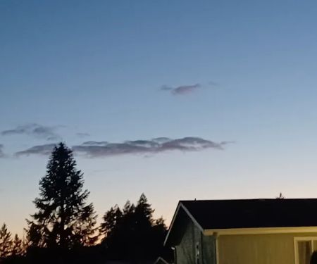 Forestview Senior 55 Community