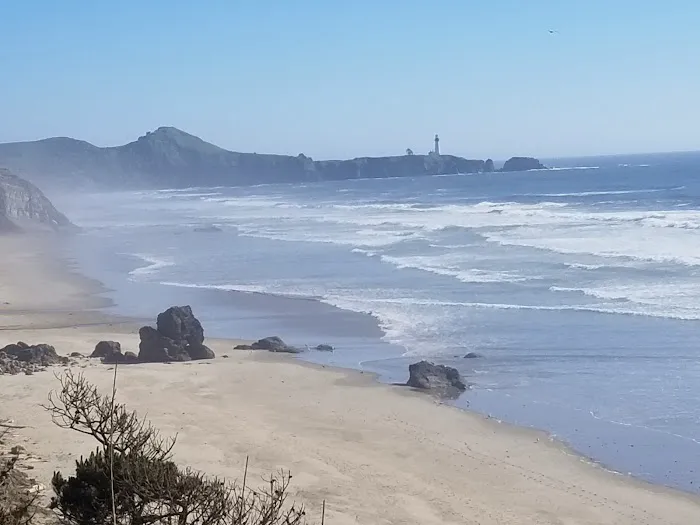 Pacific Surf Motorcoach Estate Picture 4