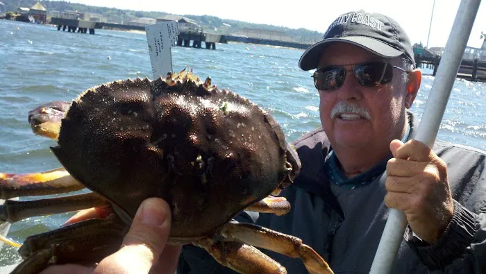 Pacific Surf Motorcoach Estate Picture 2