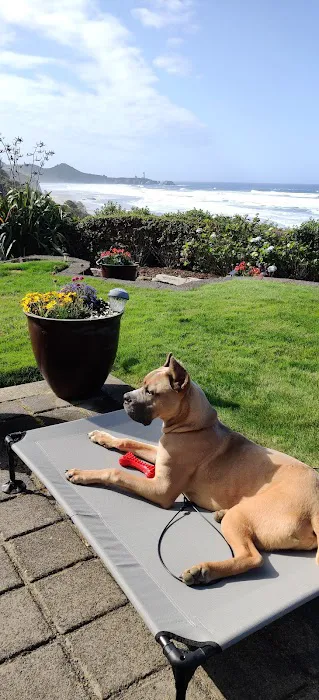 Pacific Surf Motorcoach Estate Picture 5