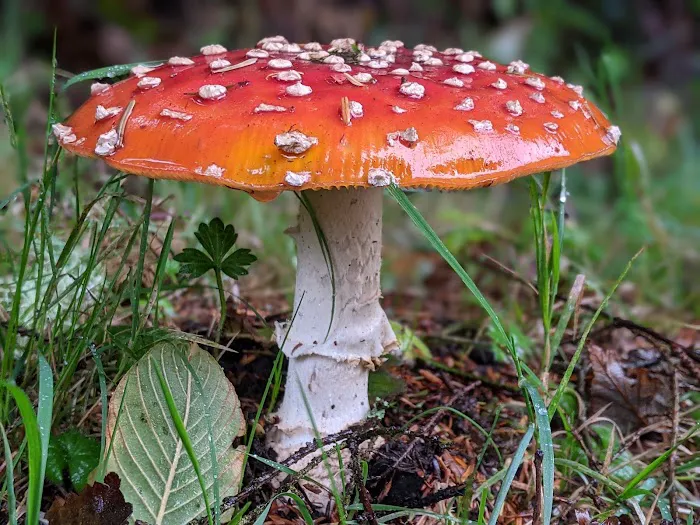 Longview Hills Picture 15