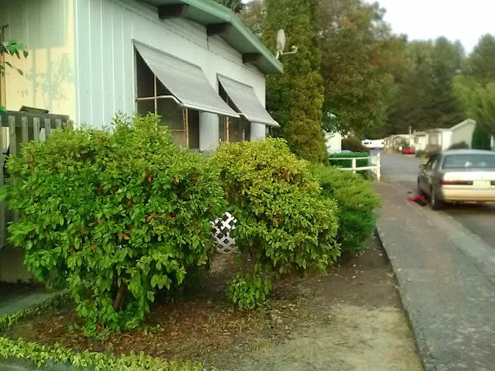 Cherrywood Mobile Manor Picture 5