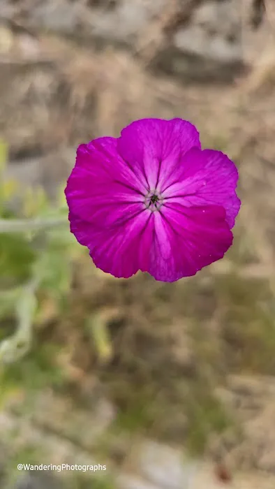 Cherrywood Mobile Manor Picture 1