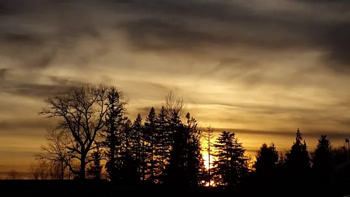 Cherrywood Mobile Manor Picture 7