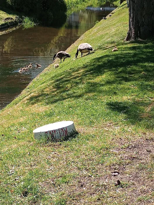 Cherrywood Mobile Manor Picture 10