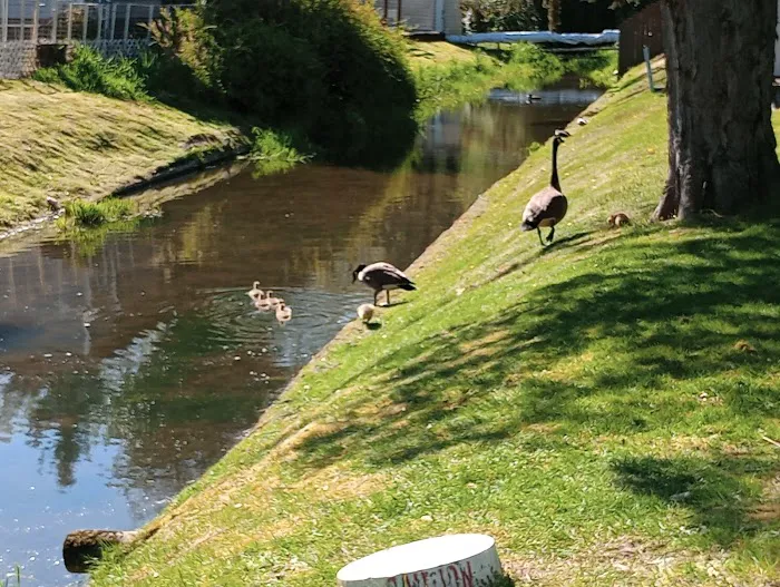 Cherrywood Mobile Manor Picture 8