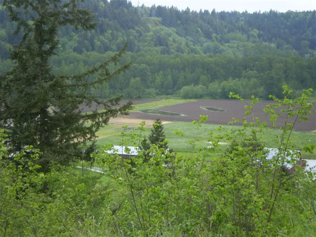 Wildwood Mobile Estates Picture 7