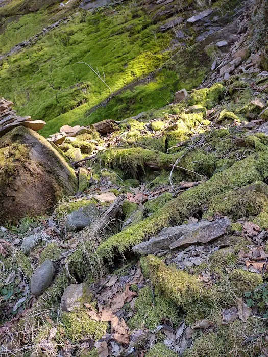 Green River Gorge Resort Picture 1