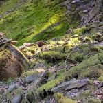 Green River Gorge Resort