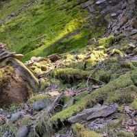 Green River Gorge Resort ico