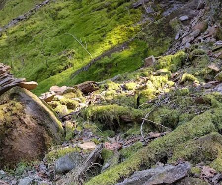 Green River Gorge Resort