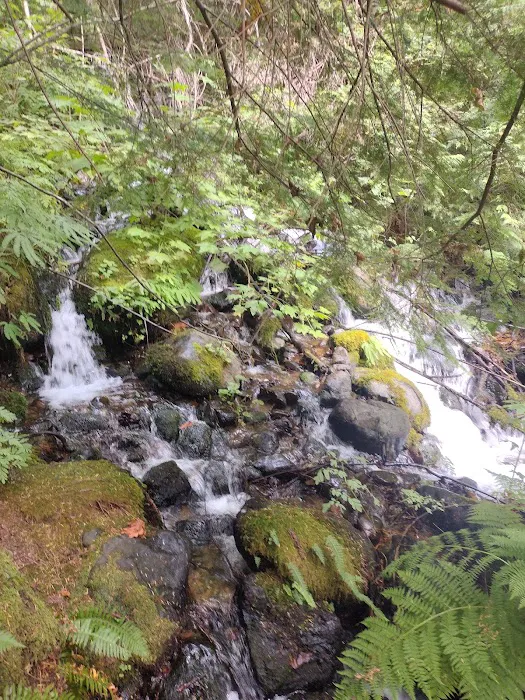 Green River Gorge Resort Picture 3