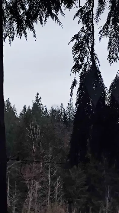 Cedarbrook Mobile Home Park Picture 7