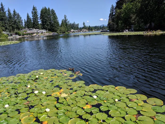 Lake Sawyer RV Resort Picture 9