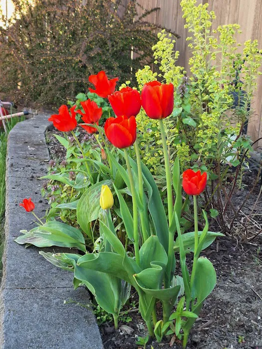 Spaid Unique Manor & Estates Picture 5