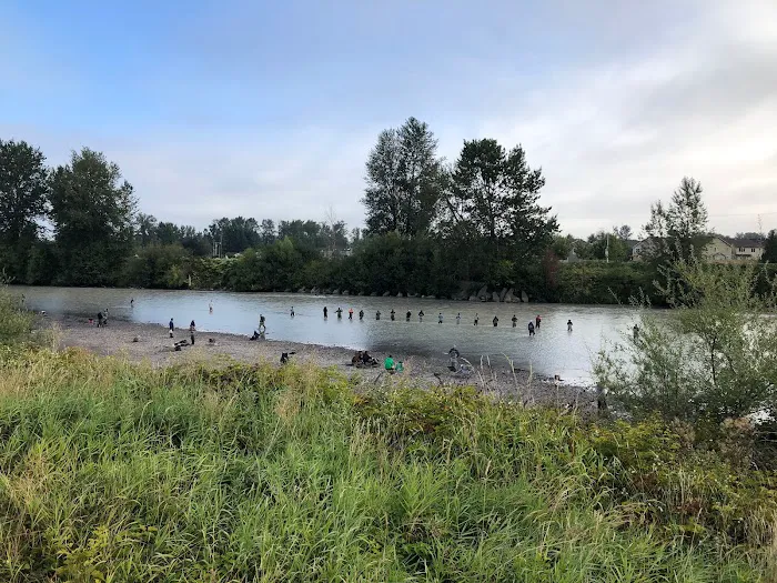 Puyallup River RV Park Picture 7