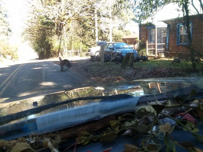 Grand View Mobile Home Park Picture 1