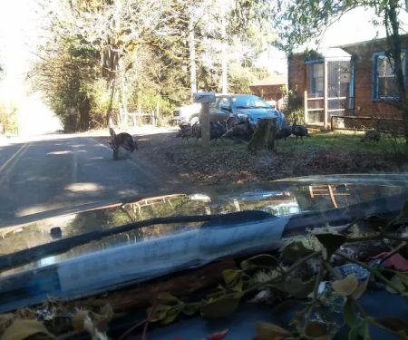 Grand View Mobile Home Park