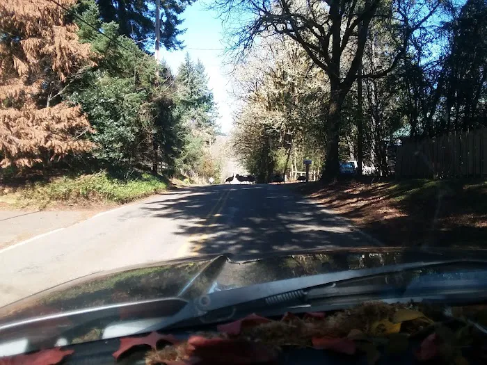 Grand View Mobile Home Park Picture 2