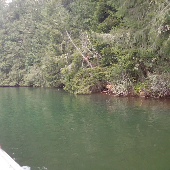 Country Star RV Park Picture 9