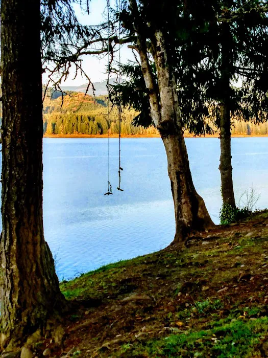 Country Star RV Park Picture 7