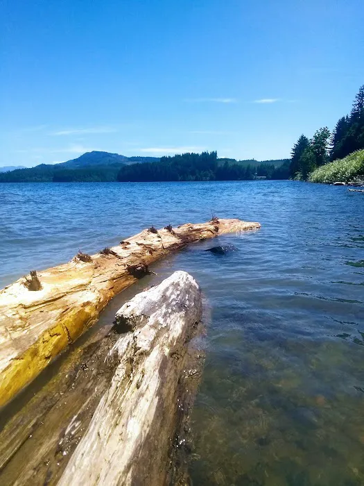 Country Star RV Park Picture 3