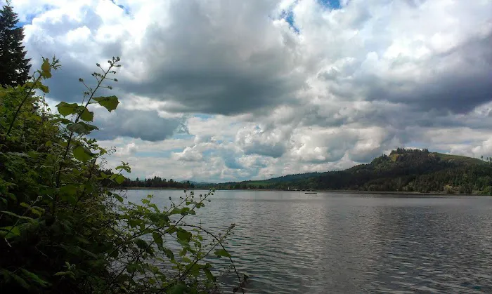 Country Star RV Park Picture 4