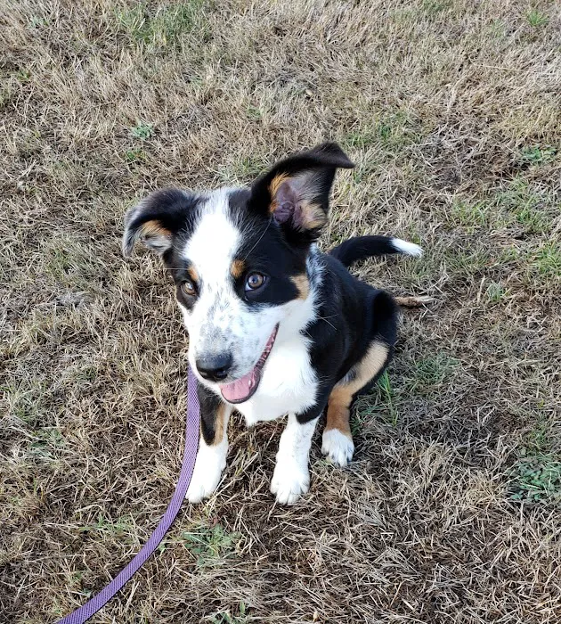 Diamond Hill RV Park Picture 5