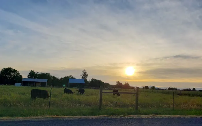 Diamond Hill RV Park Picture 2