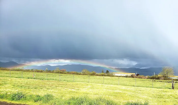 Diamond Hill RV Park Picture 3