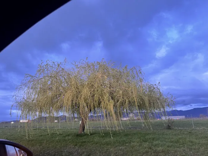 Diamond Hill RV Park Picture 7