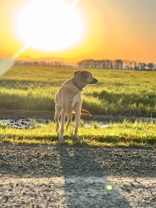 Diamond Hill RV Park Picture 9