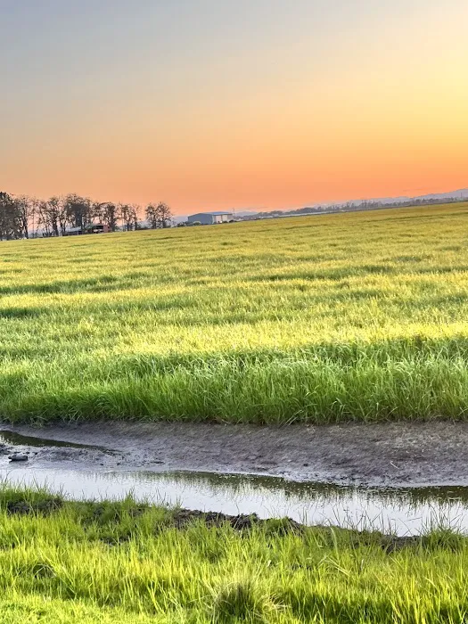 Diamond Hill RV Park Picture 10