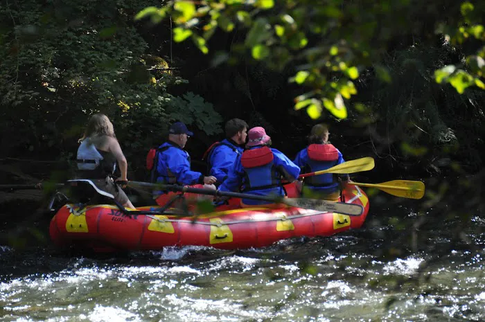 Vida Lea Cooperative Picture 6