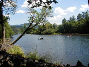 Vida Lea Cooperative Picture 1