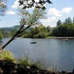 Vida Lea Cooperative