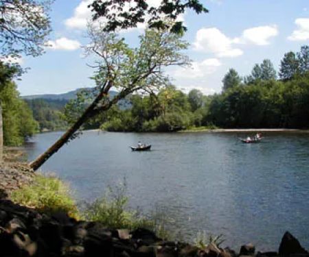 Vida Lea Cooperative