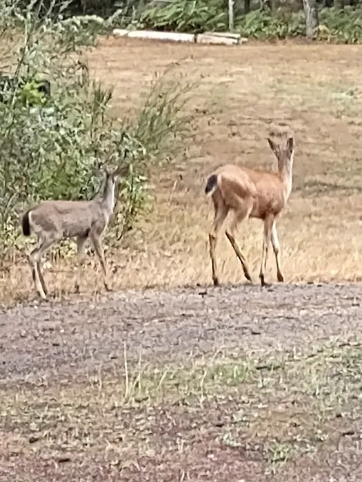 Spencer Lake RV Park Picture 5