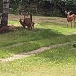 Spencer Lake RV Park