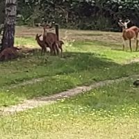 Spencer Lake RV Park ico