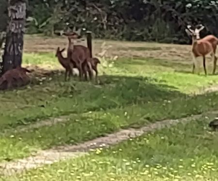 Spencer Lake RV Park