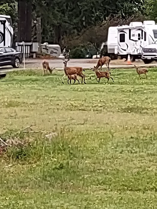 Spencer Lake RV Park Picture 6