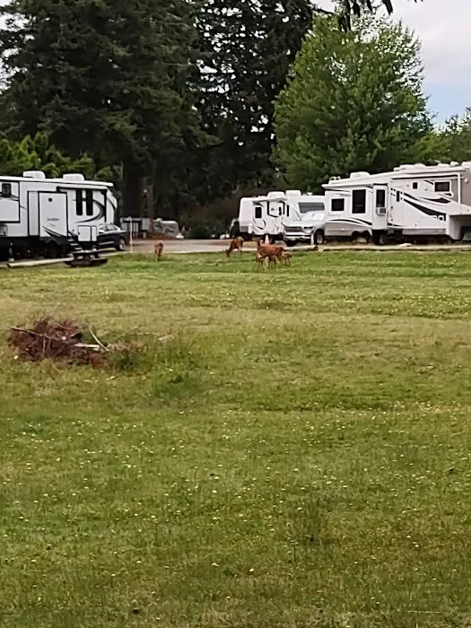 Spencer Lake RV Park Picture 9